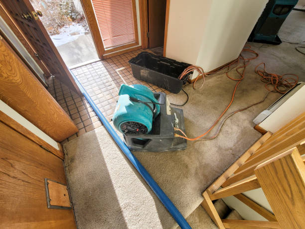 Best Fire Damage Restoration  in Beaumont, TX