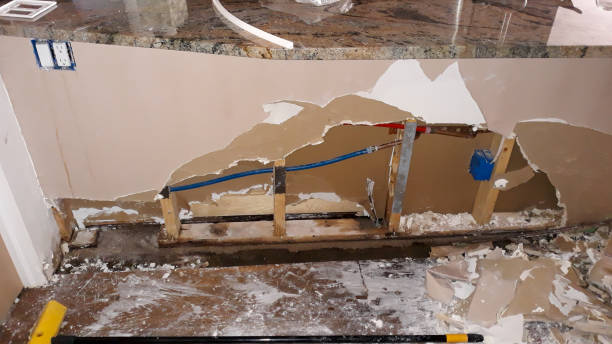 Best Flooded house restoration  in Beaumont, TX
