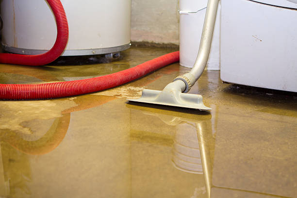 Best Flood restoration services  in Beaumont, TX