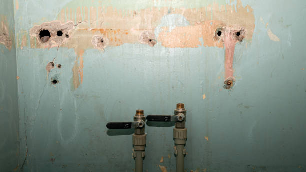 Beaumont, TX Water damage restoration Pros
