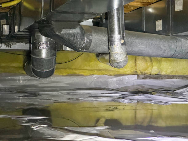 Best Basement water damage restoration  in Beaumont, TX