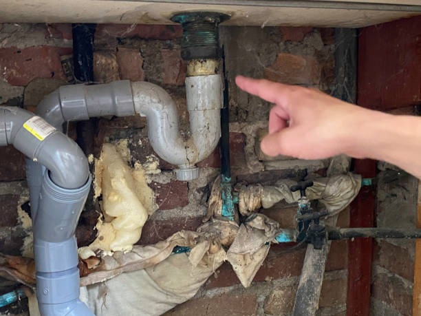 Best Professional water damage repair  in Beaumont, TX